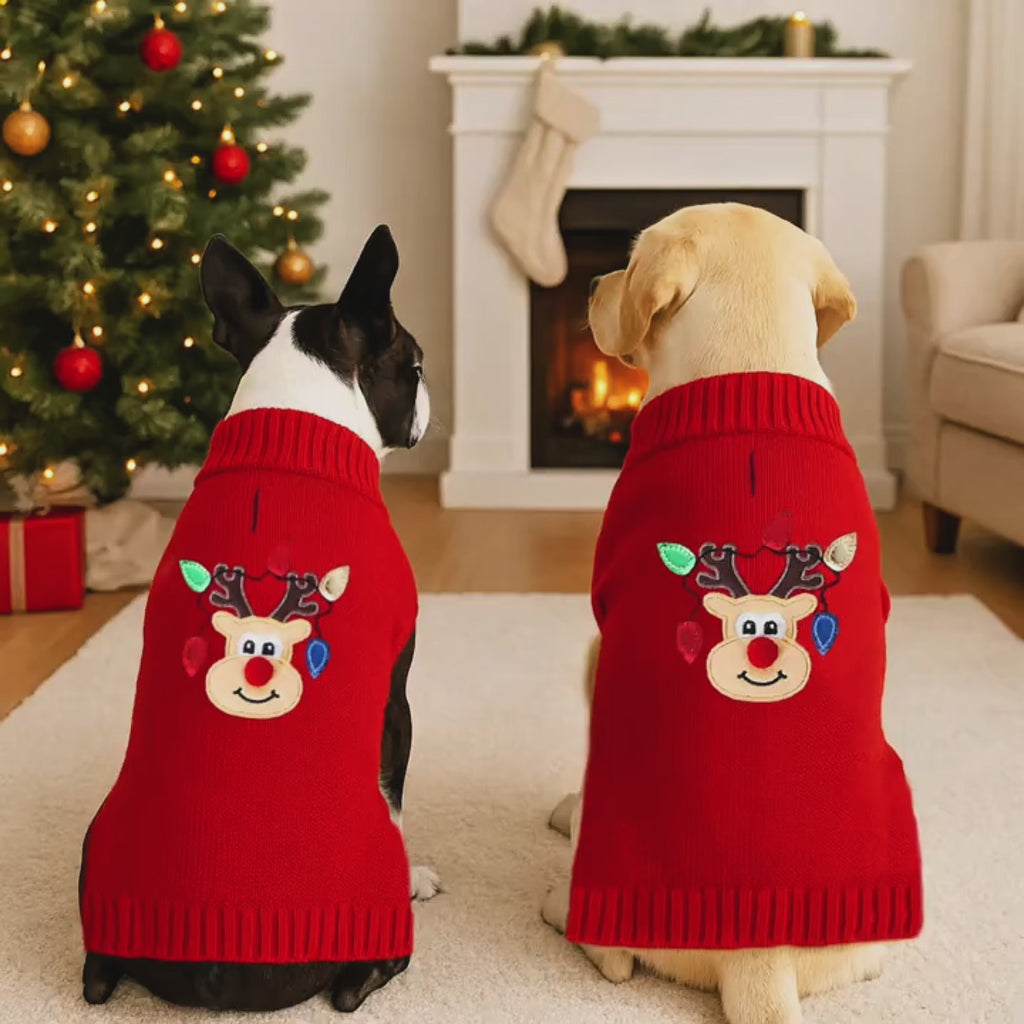 Maglioncino Natalizio “CuorDiNatale” per il tuo animale domestico